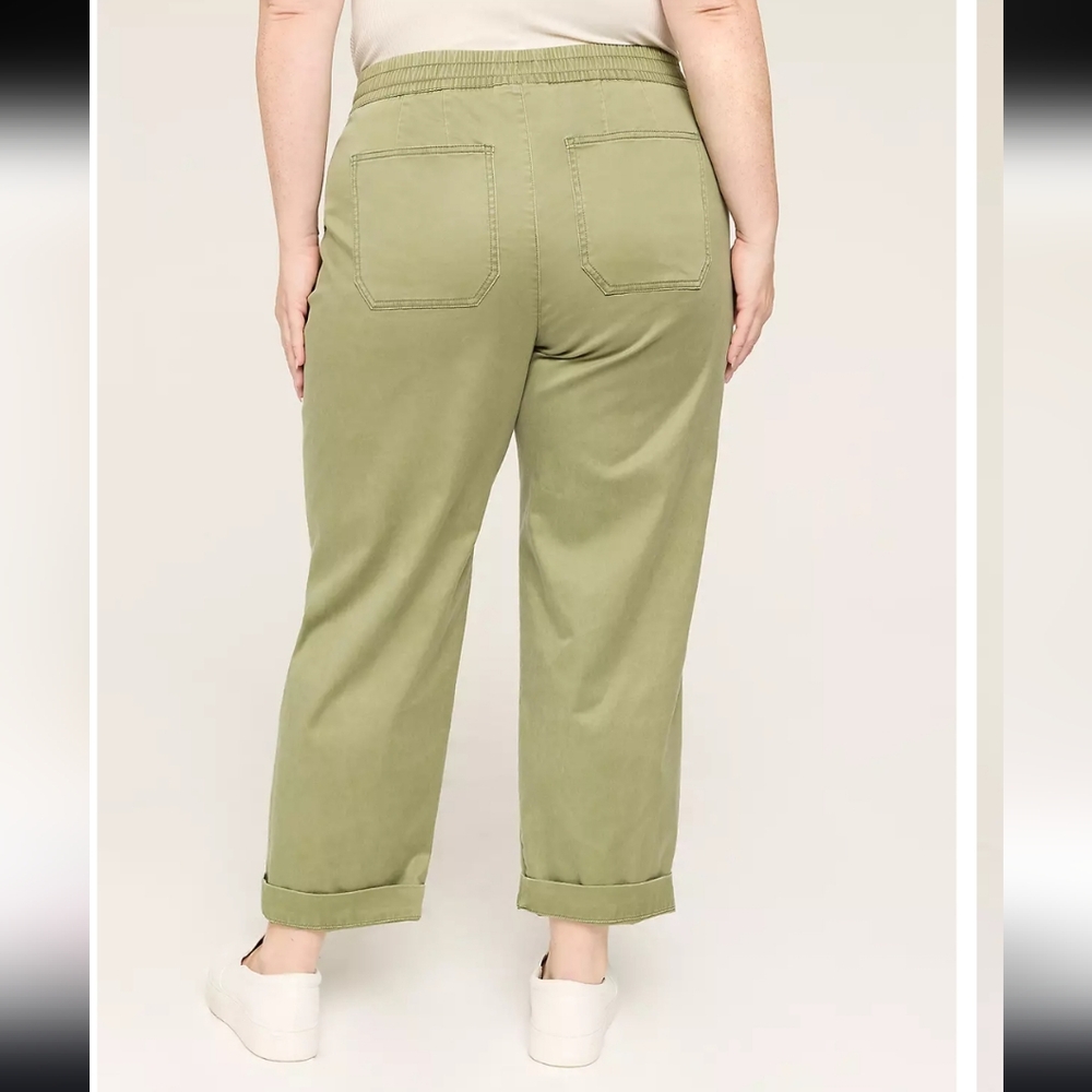 Lane Bryant Pull On Ankle Pant Work Casual - Picture 9 of 9